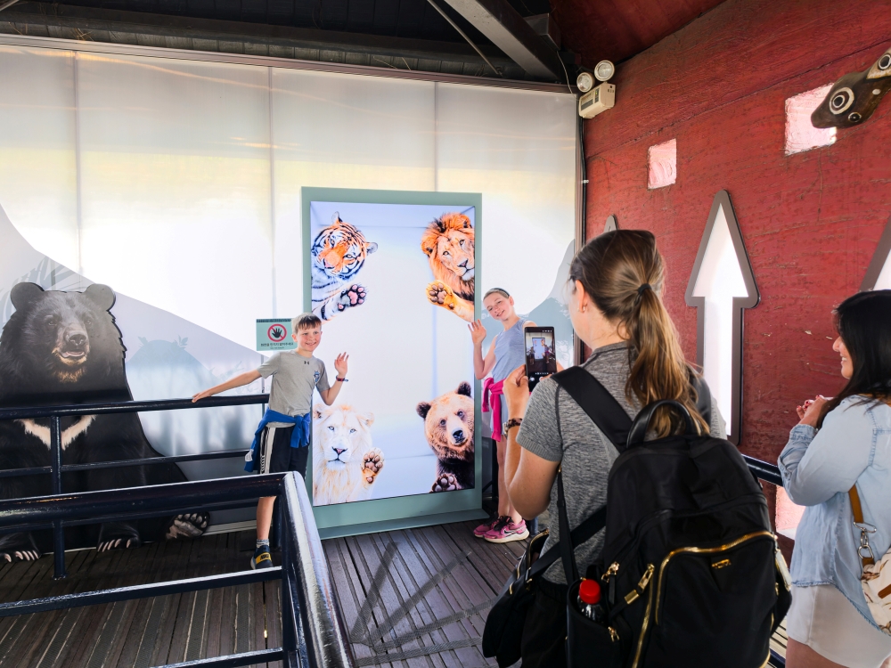 Visitors described the vivid movement of the animals on screen as strikingly lifelike.