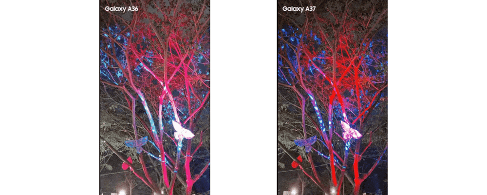 Hasil video perbandingan antara Samsung Galaxy A37 5G dengan Samsung Galaxy A36 5G,menunjukkan hasil Galaxy A37 5G lebih terang, lebih detail