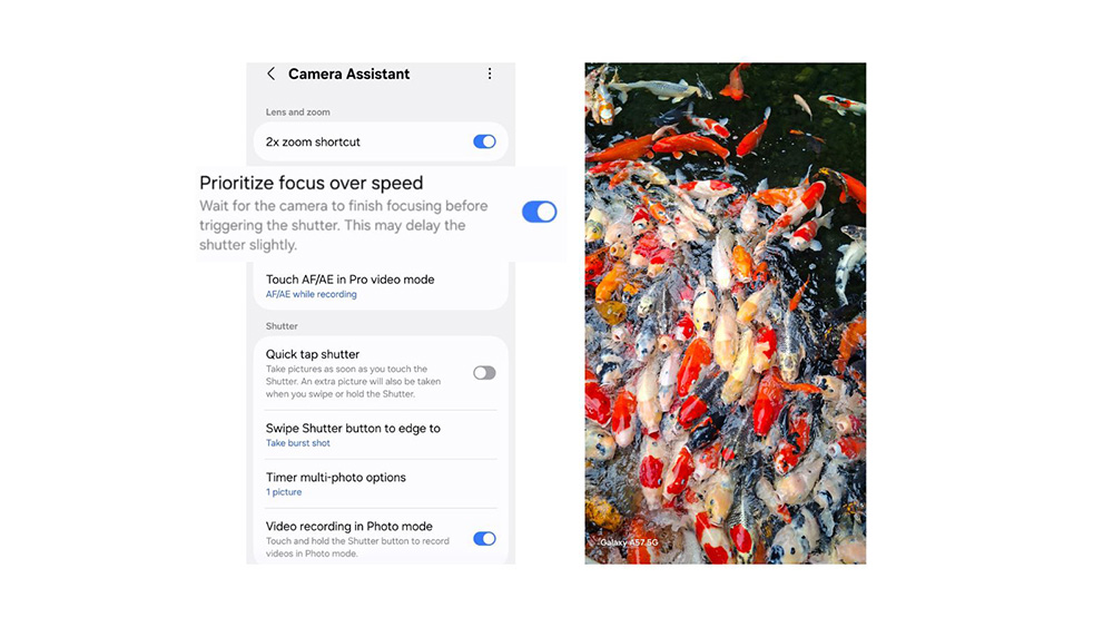Menu Camera Assistant dengan Prioritize focus over speed aktif dan hasil foto ikan koi bergerak tetap tajam