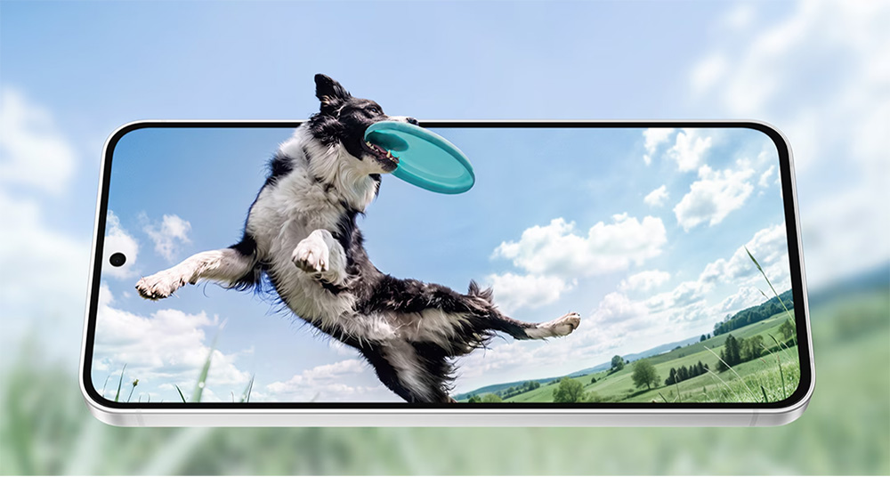 Samsung Galaxy S26 FE dengan layar 6,7 inci Dynamic AMOLED 2X menampilkan seekor anjing yang melompat menangkap frisbee di padang rumput, menonjolkan tampilan visual yang tajam dan refresh rate 120Hz dalam desain tipis dan premium.