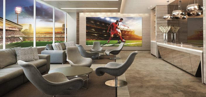 Biz_VIP-Suite.jpg