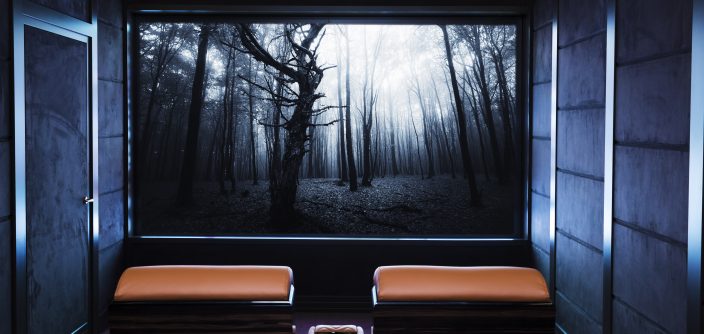 FRONTALE-CINEMA.jpg