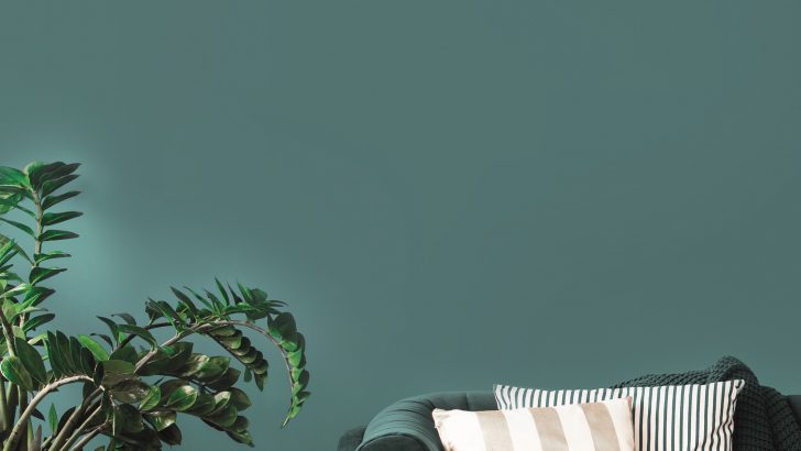 Ambientata_WindFree_Pure-1.0.jpg