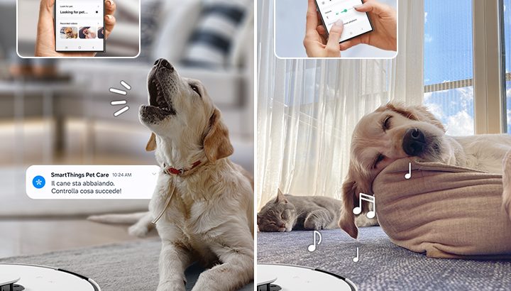 SmartThings-Pet-Care-1.jpg