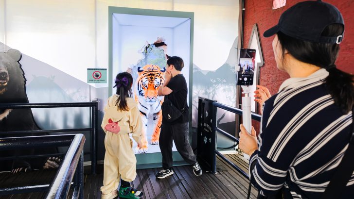 Samsung-TVs-and-Displays-Spatial-Signage-Safari-World-The-Wild-Everland_dl6.jpg