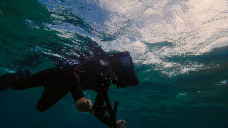 001-Samsung-Deepens-Its-Commitment-to-the-Worlds-Oceans-by-Leveraging-Galaxy-Technology-e1780929594410.jpg