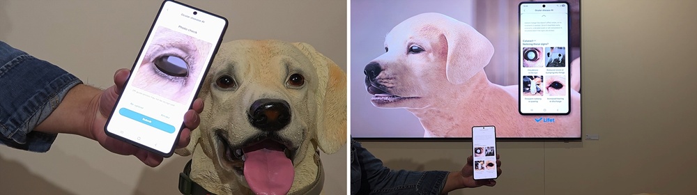 CES 2026 Care Companion Zone