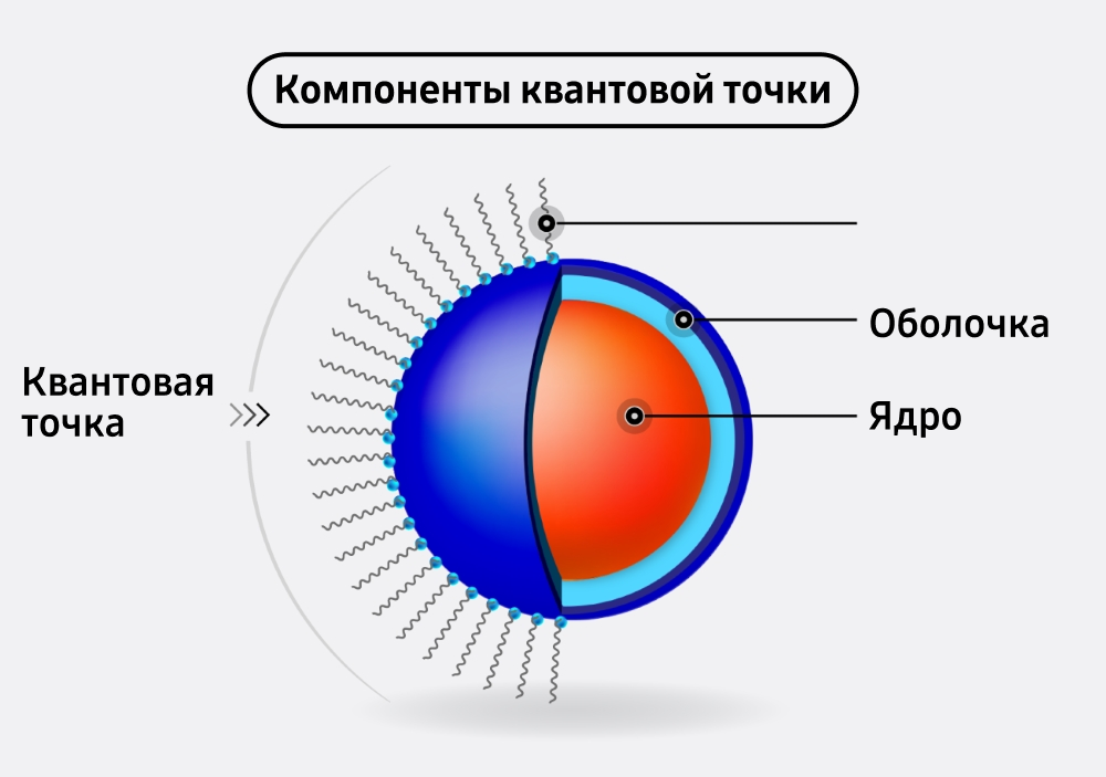 Интервью с Нобелевскими Лауреатами