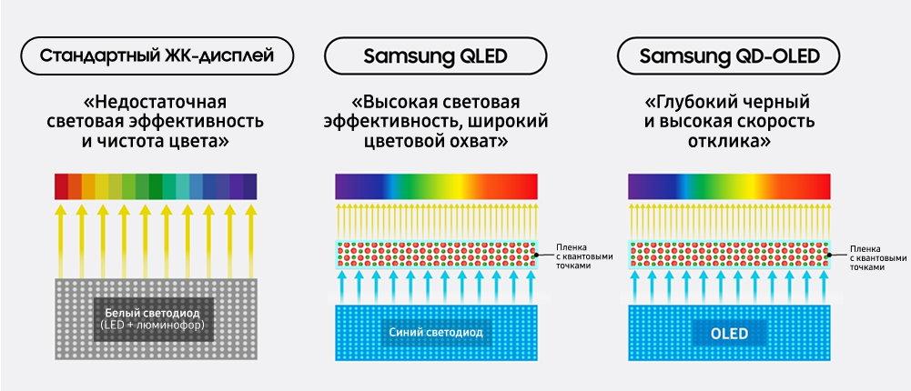 Интервью с Нобелевскими Лауреатами