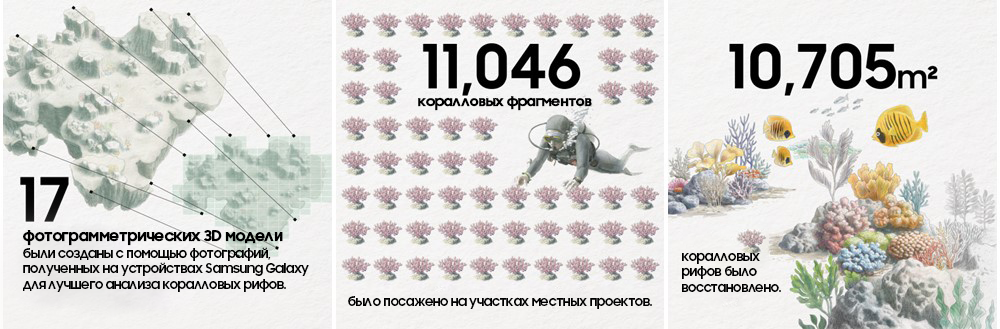 Коралловые рифы