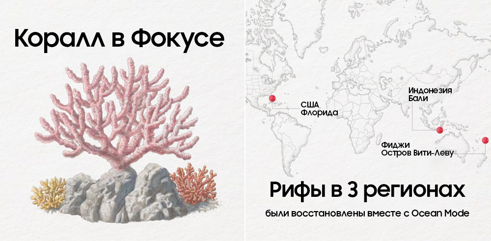 Коралловые рифы