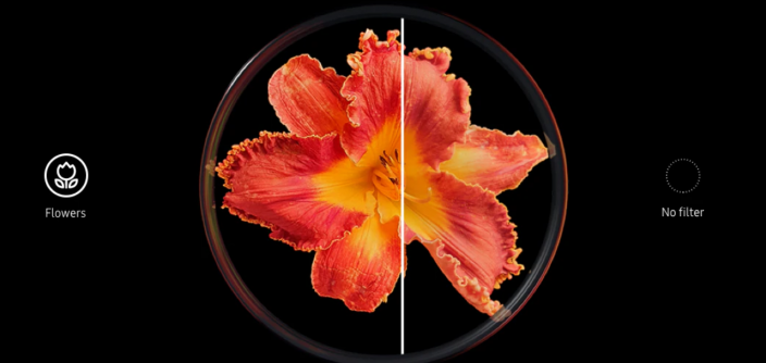 Note9-flor-e1548885154617.png