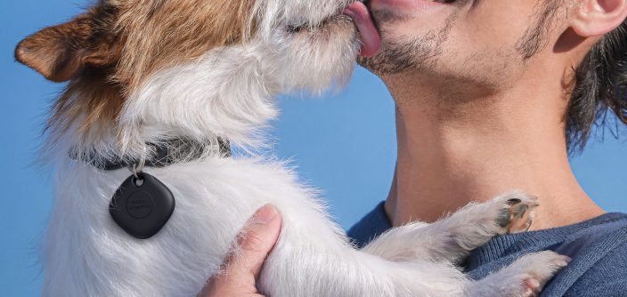 SmartTag_dog.jpg