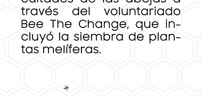 4_-1.png