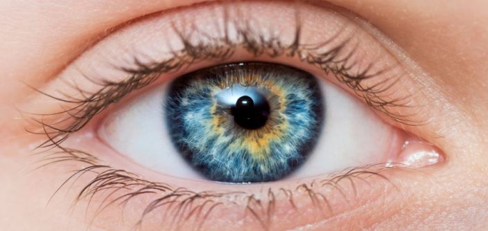 Blue-eyes-e1697035531650.jpg