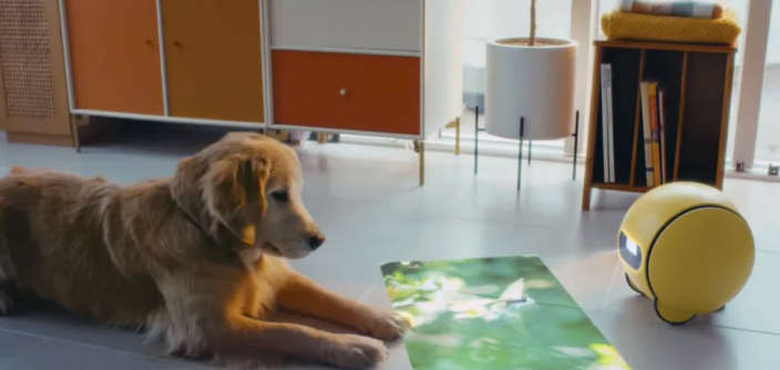 Ballie-Pet-Care-e1704829515634.png