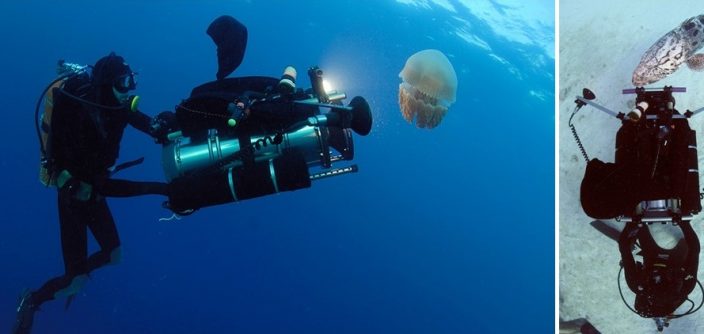 Editorial-Pawel-Achtel-Underwater-Cinematography_main2-F-e1709230511475.jpg