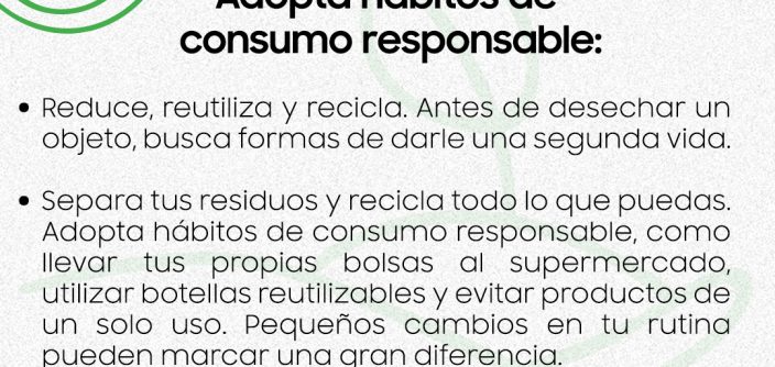 HOGAR_SOSTENIBLE_05-e1733956635149.jpg