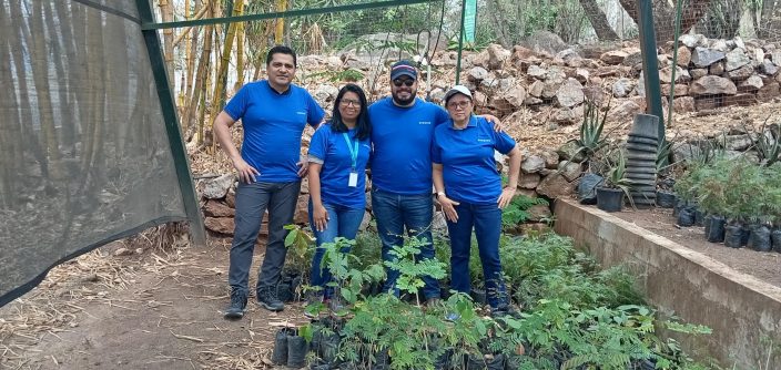 Voluntariado-Back-to-Earth_6-e1745874802998.jpg