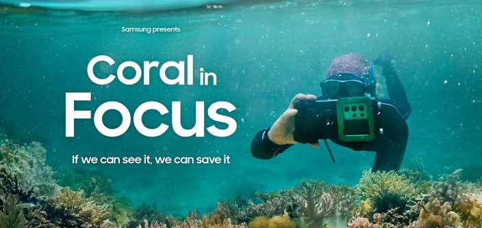 015-Coral-in-Focus-Premieres-at-UN-Oceans-Conference-Spotlighting-Innovation-and-Urgency-in-Reef-Restoration-NewsBody-e1750280462421.jpg