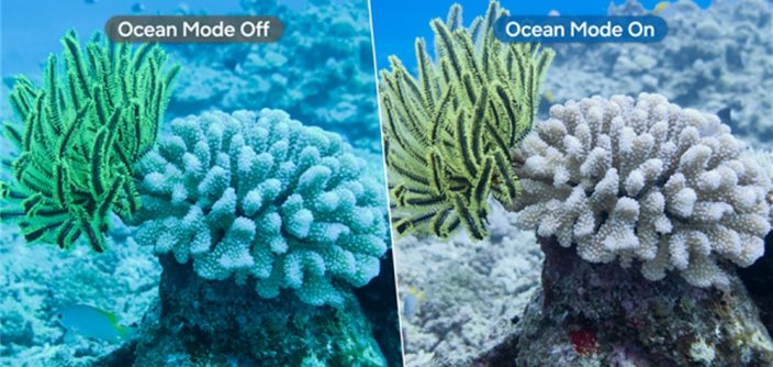 Samsung-Mobile-Galaxy-S26-series-Ocean-Mode-Coral-in-Focus-Engage-for-Goods-2026-Halo-Awards_main2.jpg