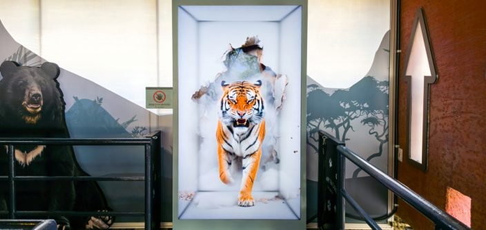 Samsung-TVs-and-Displays-Spatial-Signage-Safari-World-The-Wild-Everland_main1-e1778523507153.jpg