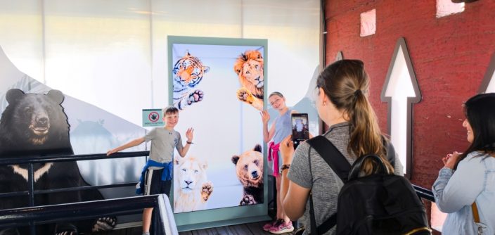 Samsung-TVs-and-Displays-Spatial-Signage-Safari-World-The-Wild-Everland_main5-e1778523892914.jpg