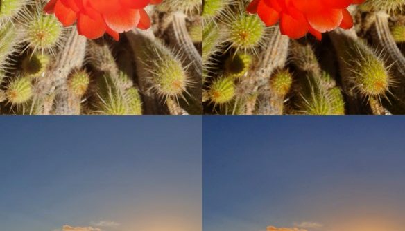 GalaxyS10_InDepth_Camera-3.jpg