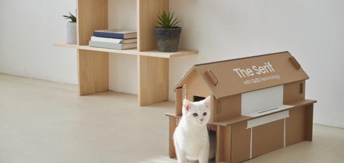 Eco-Packaging-for-Lifestyle-TV-Lineup_4.jpg