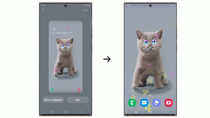 2.-Wonderland_Cat_combined_0923.gif