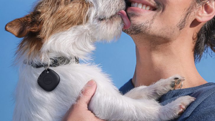 SmartTag_dog.jpg