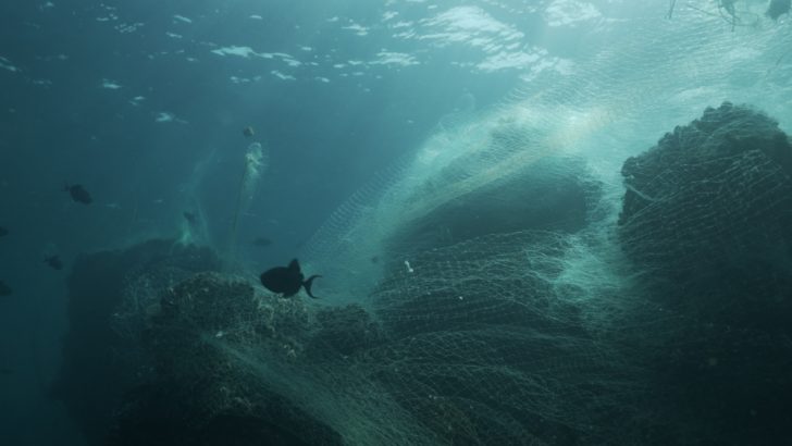 Ocean-bound_plastics_main2.jpg