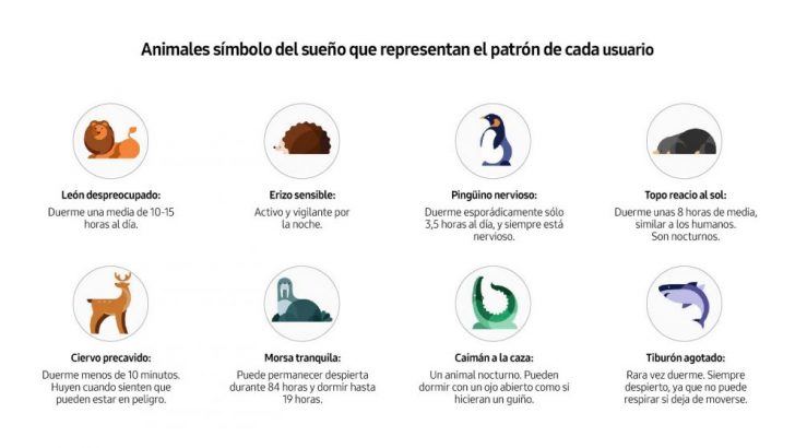 Animales-símbolo-del-sueño-1-990x563.jpg