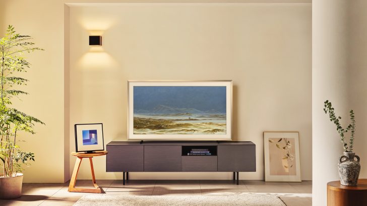 The-Frame_LSI_04-a.jpg