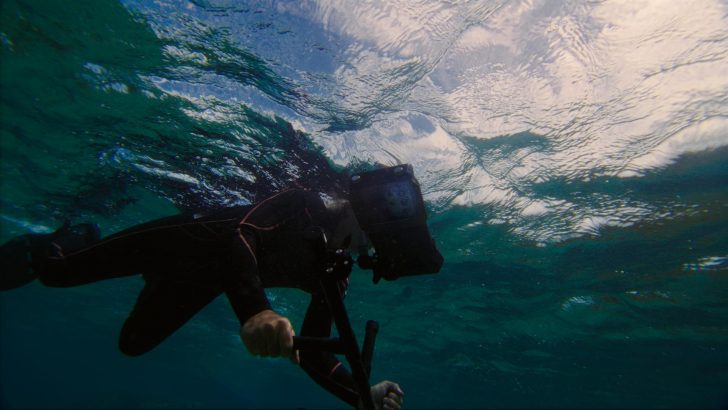 Samsung-Mobile-S24-Ultra-Ocean-Mode-A-Collaboration-With-Seatrees_Coral-Reefs_dl1.jpeg