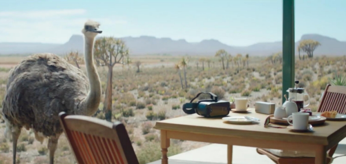 Ostrich_Clio Awards