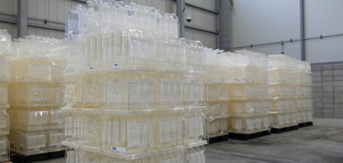 Samsung-Semiconductor-Site_Zero-Waste-to-Landfill_main_2-2.jpg