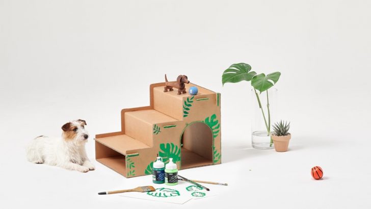 Eco-Packaging-for-Lifestyle-TV-Lineup_5.jpg