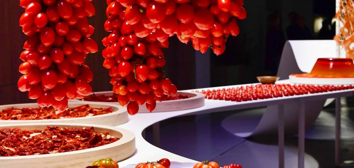 Samsun_24htKitchen_3.jpg