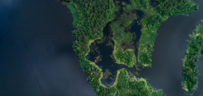 Eco.jpeg