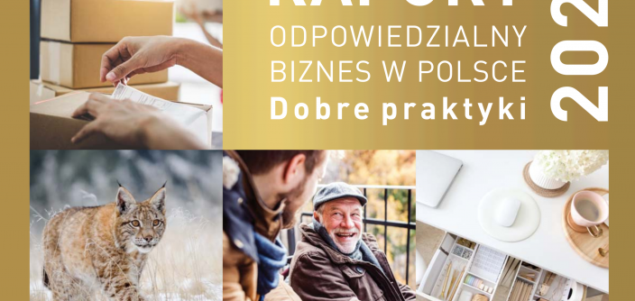 Raport_DP_2021_okladka.png