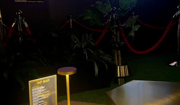 VIP-Room_85-The-Frame-2ea.png