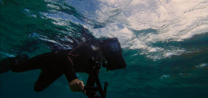 Samsung-Mobile-S24-Ultra-Ocean-Mode-A-Collaboration-With-Seatrees_Coral-Reefs_dl1.jpeg