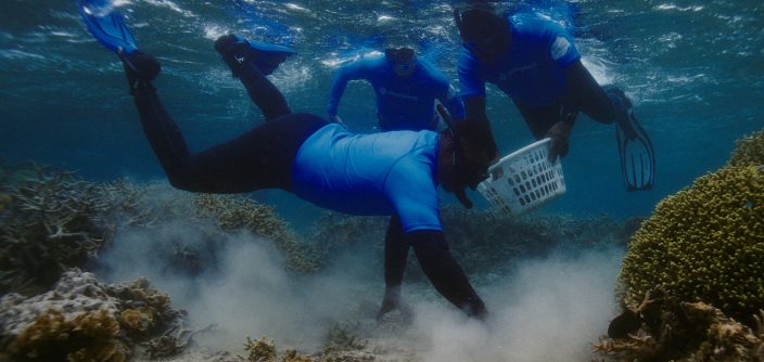 Samsung-Mobile-S24-Ultra-Ocean-Mode-A-Collaboration-With-Seatrees_Coral-Reefs_dl2.jpg