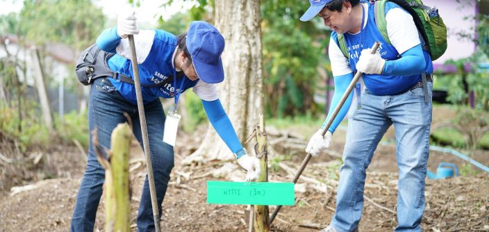 6-Samsung-Volunteer_BananaTree..jpg