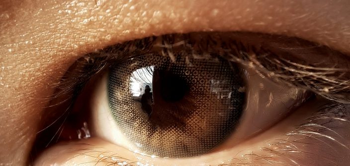 Peck_Galaxy-A51-Macro-Lens.jpg