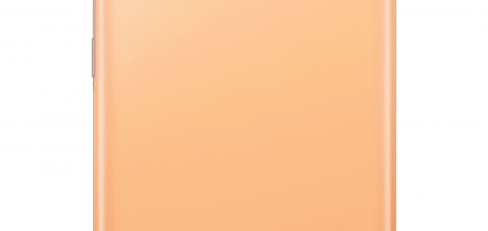 SM-G780G781_S20FE_Back_ZO.jpg