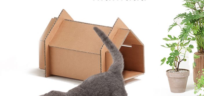 Samsung-EcoPackActivity4.jpg