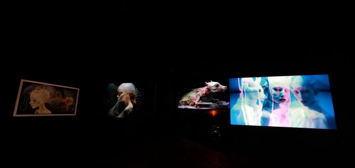 Samsung_Exhibition_3.jpg