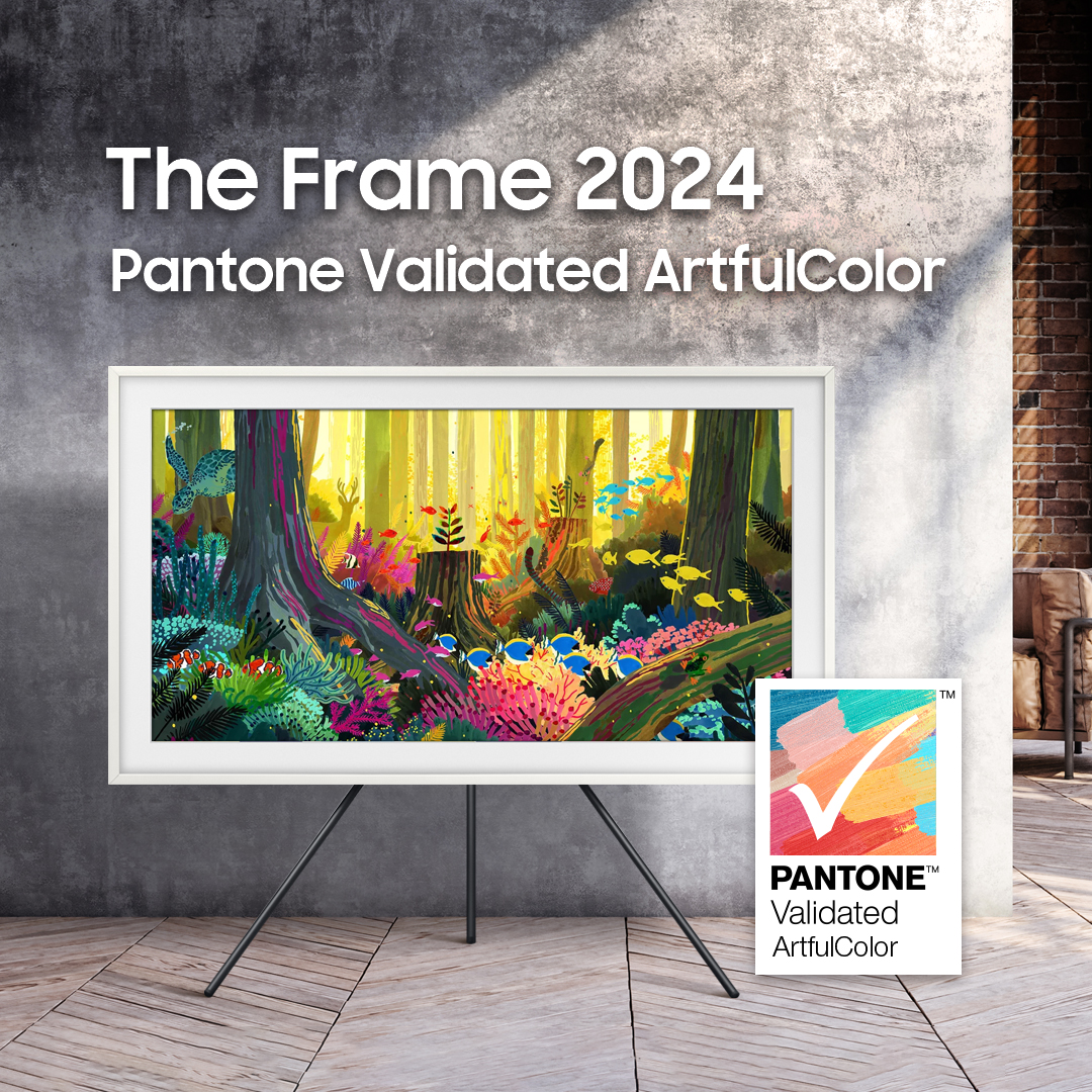 The Frame 2024